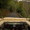 Mini-Combo Expedition - Half Day Thursday Tour