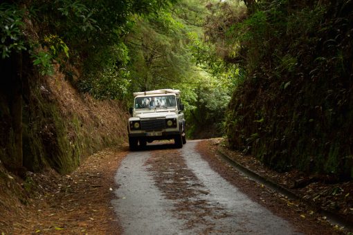 Jeep Tour + Workshop de Pintura - Image 3